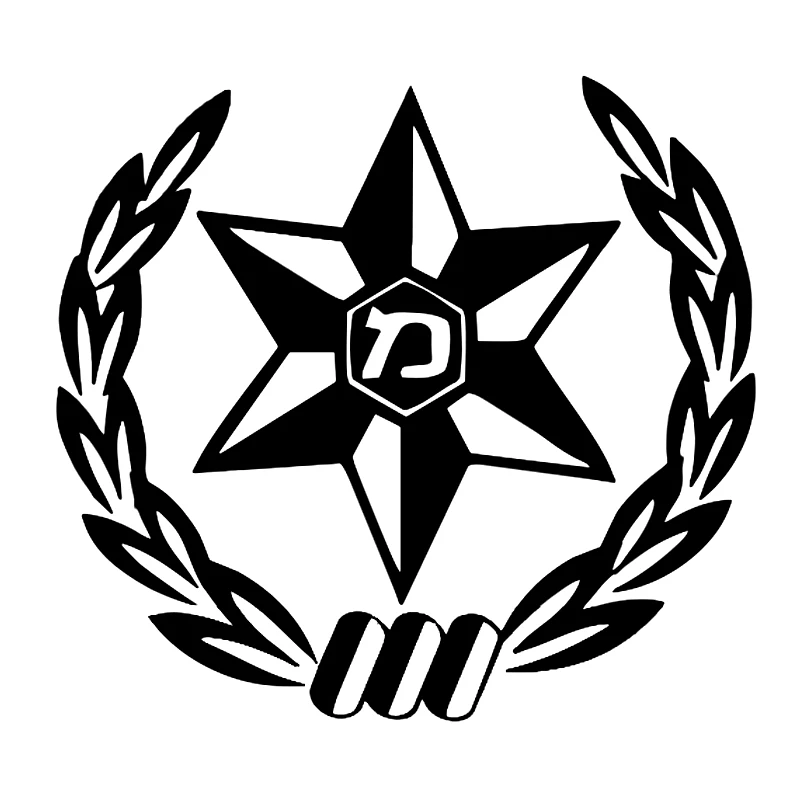 Car Sticker  Die-cut Vinyl Dec - Car Accessories Nz reseña y precio