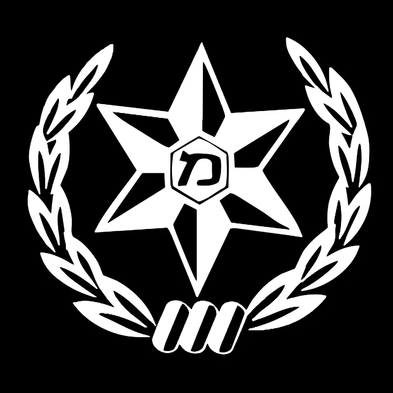 Car Sticker  Die-cut Vinyl Dec - Car Accessories Nz reseña y precio